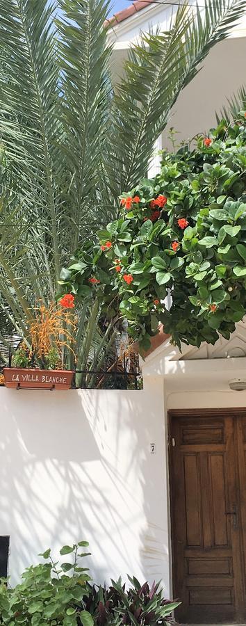 La Villa Blanche Dakar Luaran gambar